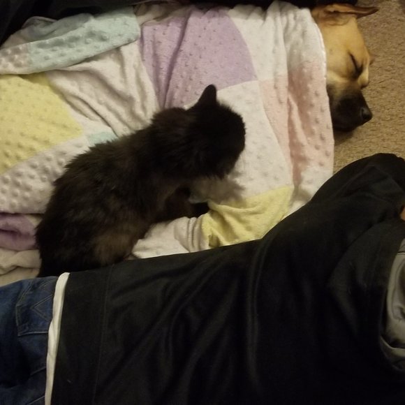 When u miss someone or something ♥️♥️ - Picture 2 of 9